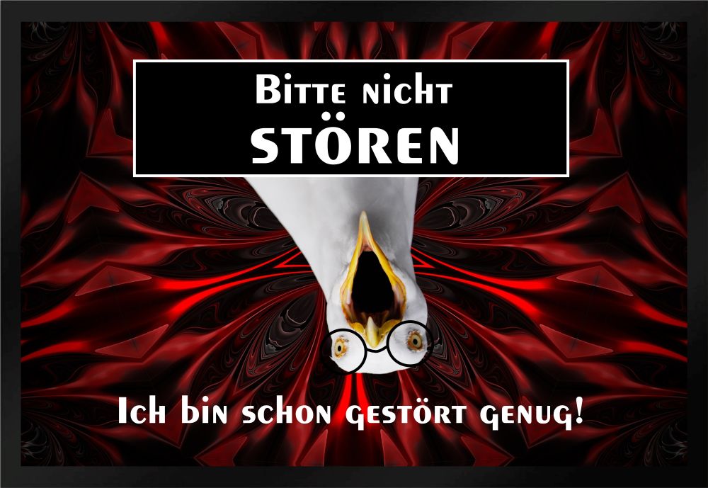 Fußmatte Schmutzfangmatte Bitte nicht stören gestört genug F421 60x40 cm