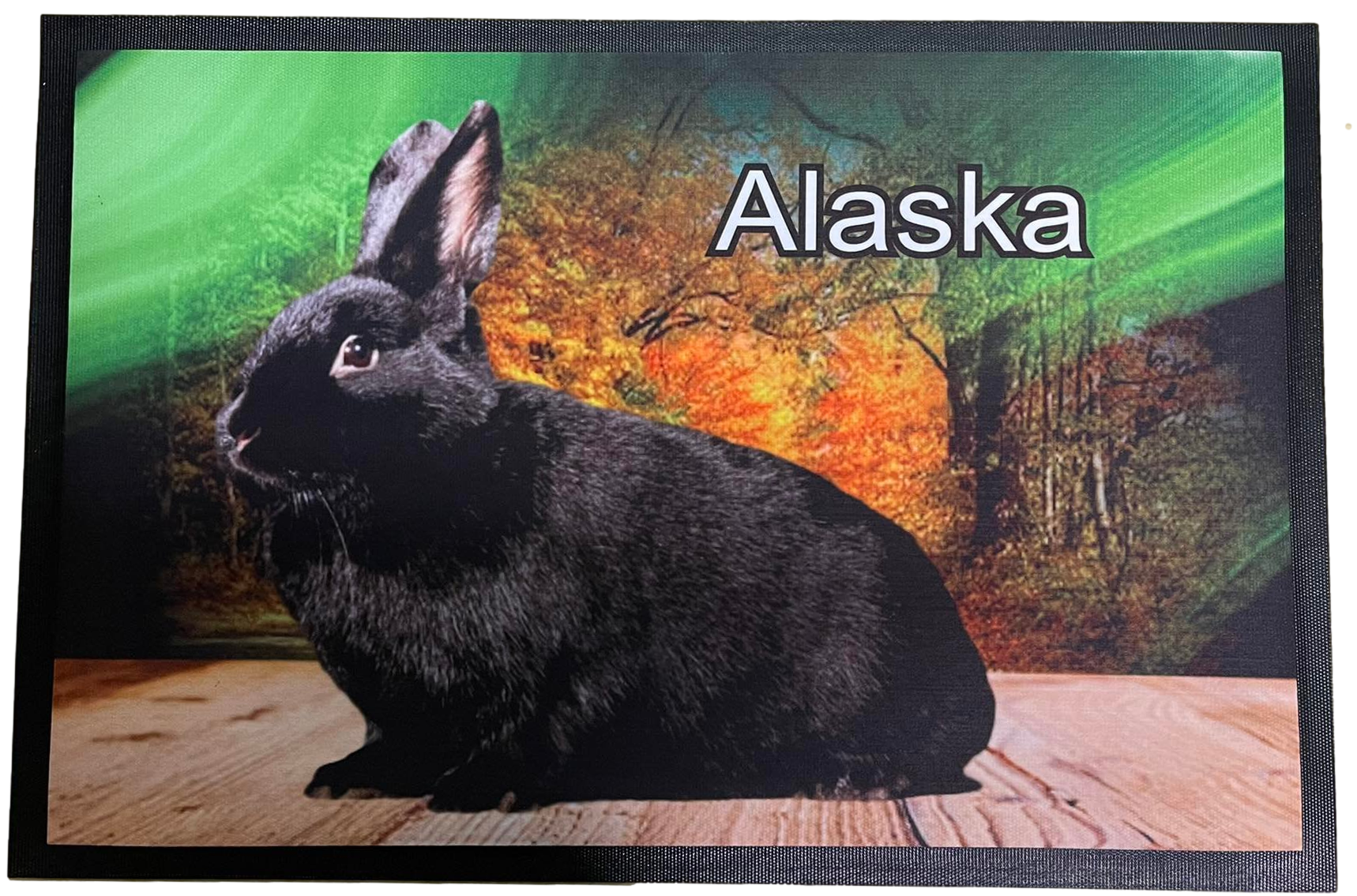 Fußmatte Schmutzfangmatte rutschfest Kaninchen Alaska 75x50 cm F007