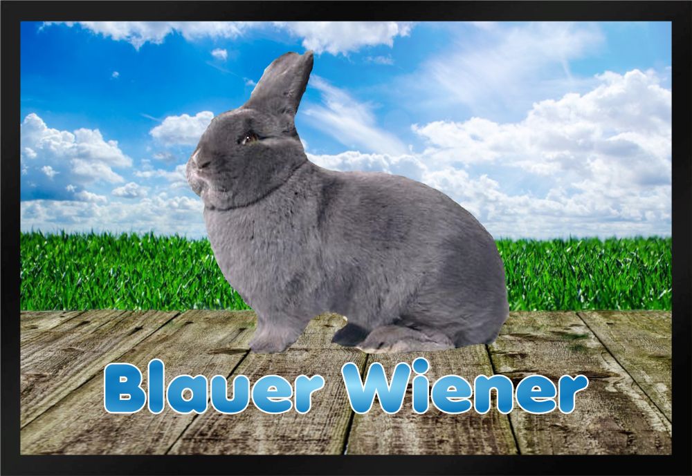 Fußmatte Schmutzfangmatte Kaninchen Blauer Wiener F829 60x40 cm