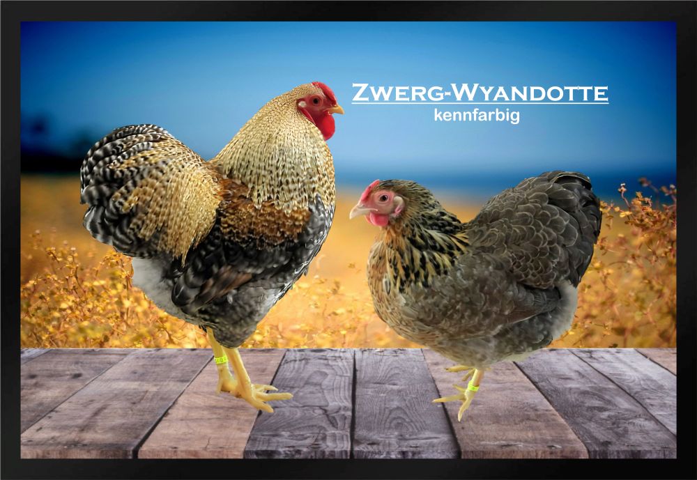 Fußmatte Hühner Zwerg Wyandotte kennfarbig F1274 60x40 cm