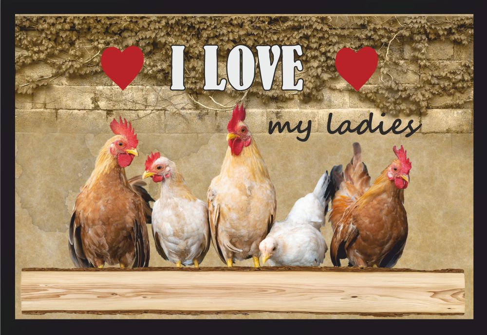 Fußmatte Schmutzfangmatte i Love my ladies Hühner F805 60x40 cm