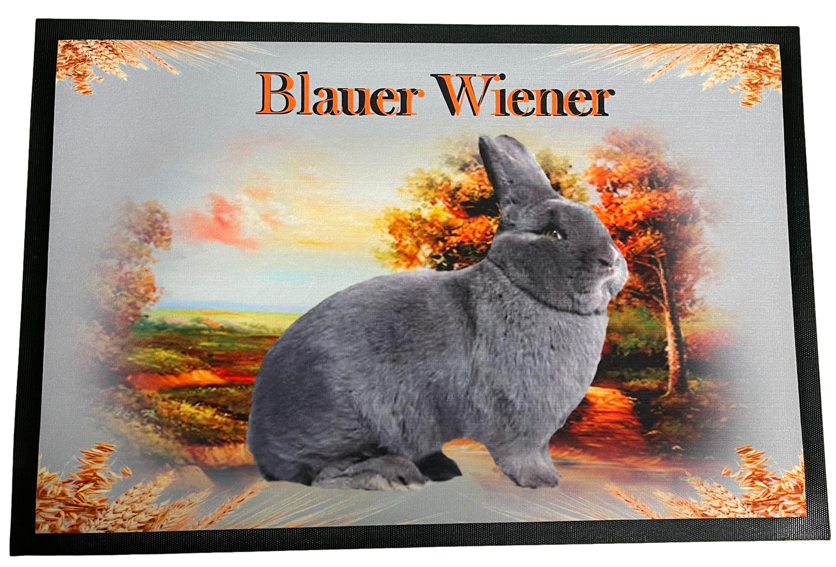 Fußmatte Schmutzfangmatte rutschfest Kaninchen Blauer Wiener 75x50cm F008