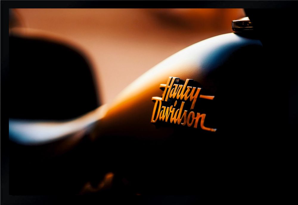 Fußmatte Schmutzfangmatte Harley Davidson F114 60x40 cm