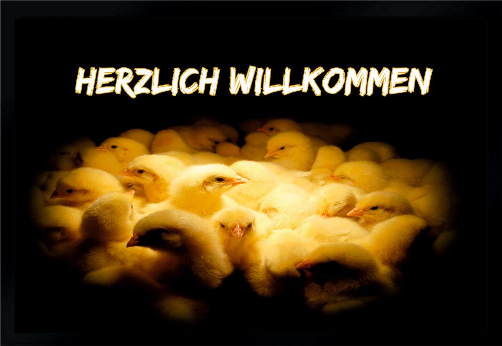 Fußmatte Schmutzfangmatte Küken Geflügel Hühner F269 60x40 cm
