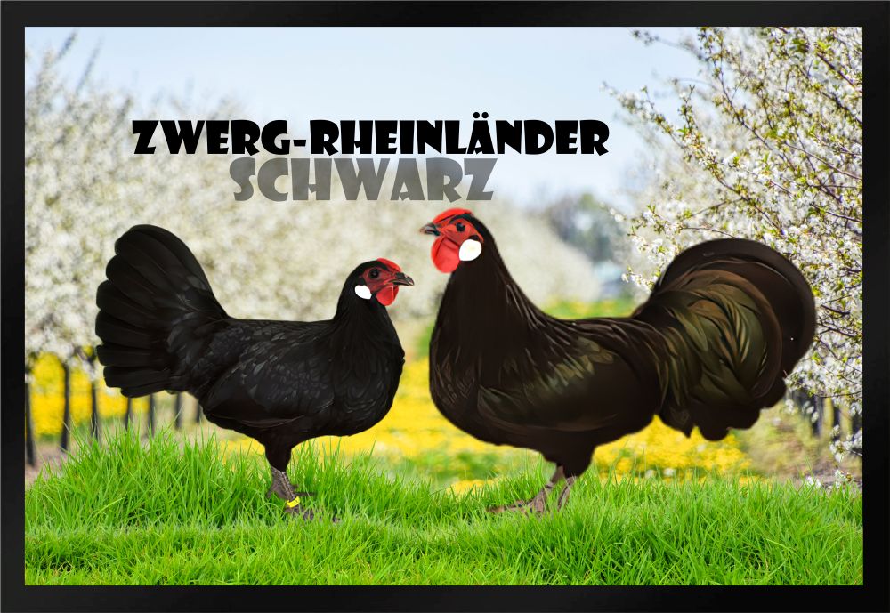 Fußmatte Hühner Zwerg Rheinländer schwarz F1275 60x40 cm