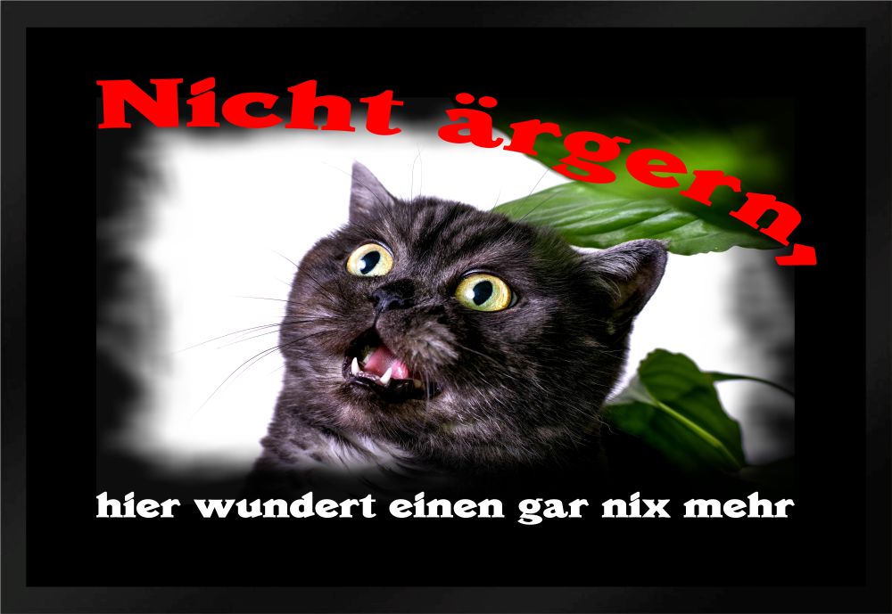 Fußmatte Schmutzfangmatte nicht ärgern wundert gar nichts mehr F607 60x40 cm