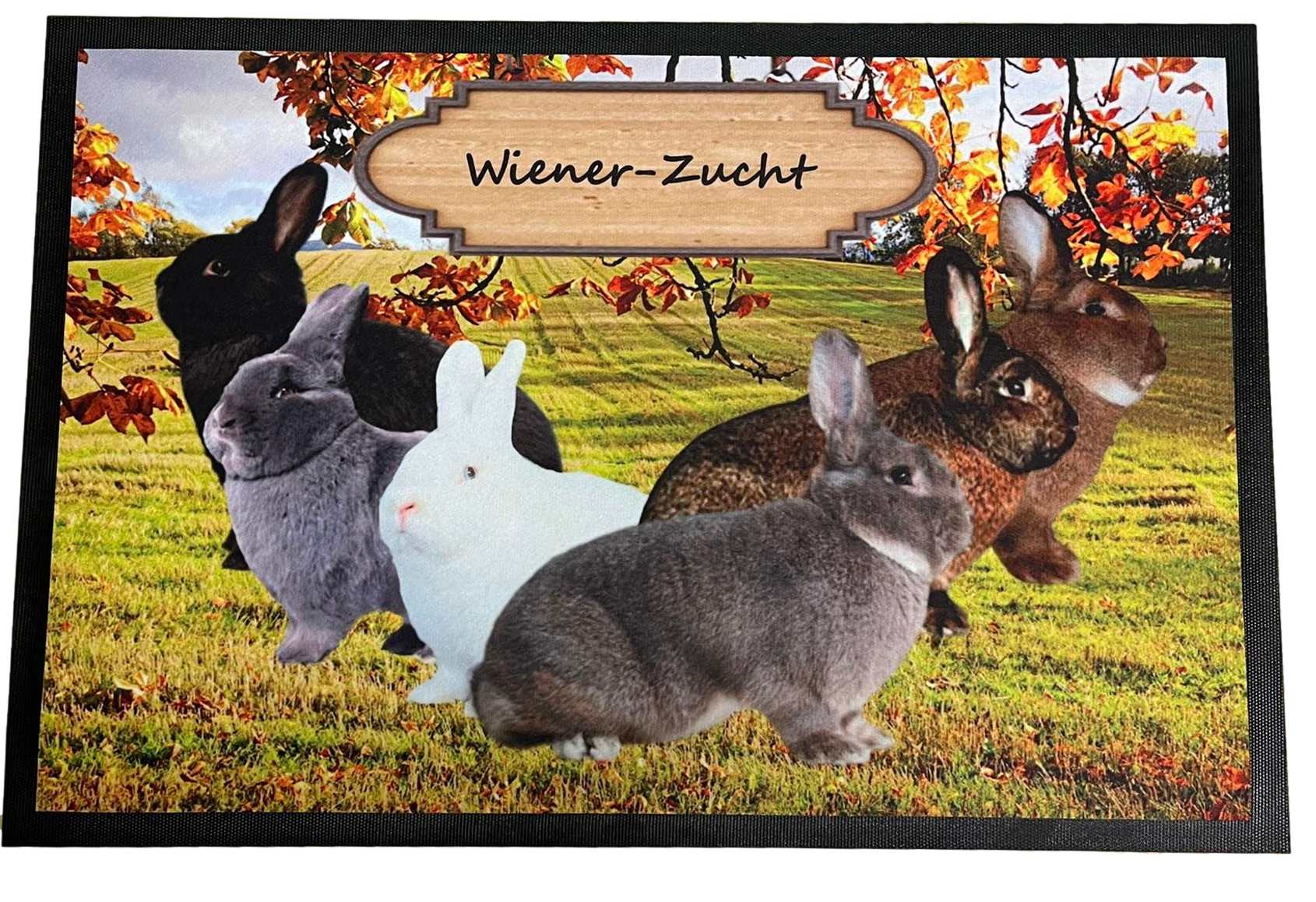 Fußmatte Schmutzfangmatte rutschfest Gruppe Wiener Kaninchen 75x50cm F004