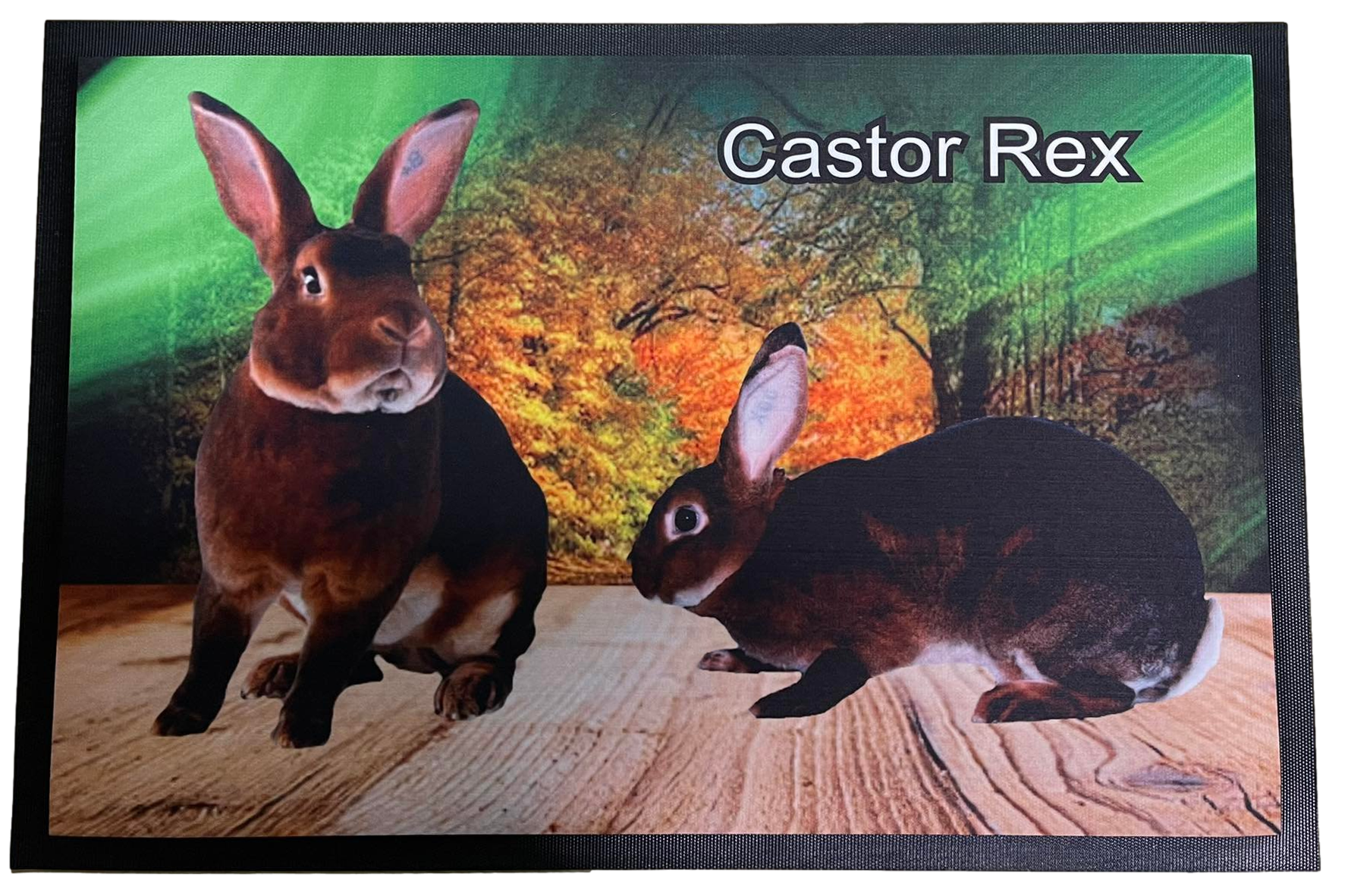 Fußmatte Schmutzfangmatte rutschfest Kaninchen Castor Rex 75x50cm  F009