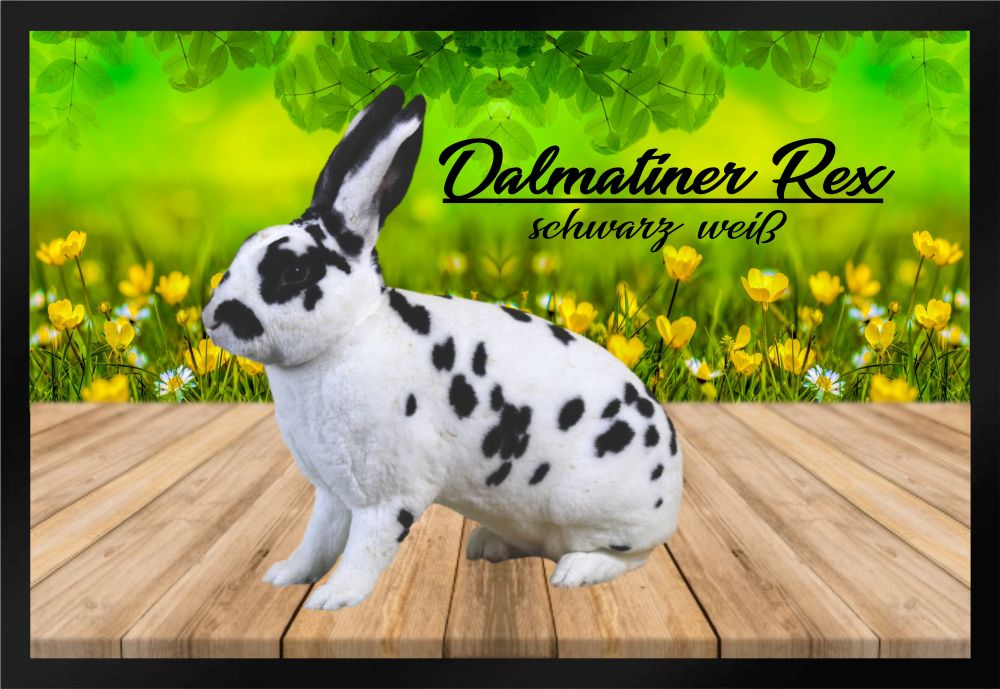 Fußmatte Schmutzfangmatte Kaninchen Dalmatiner-Rex schwarz weiß F856 60x40 cm