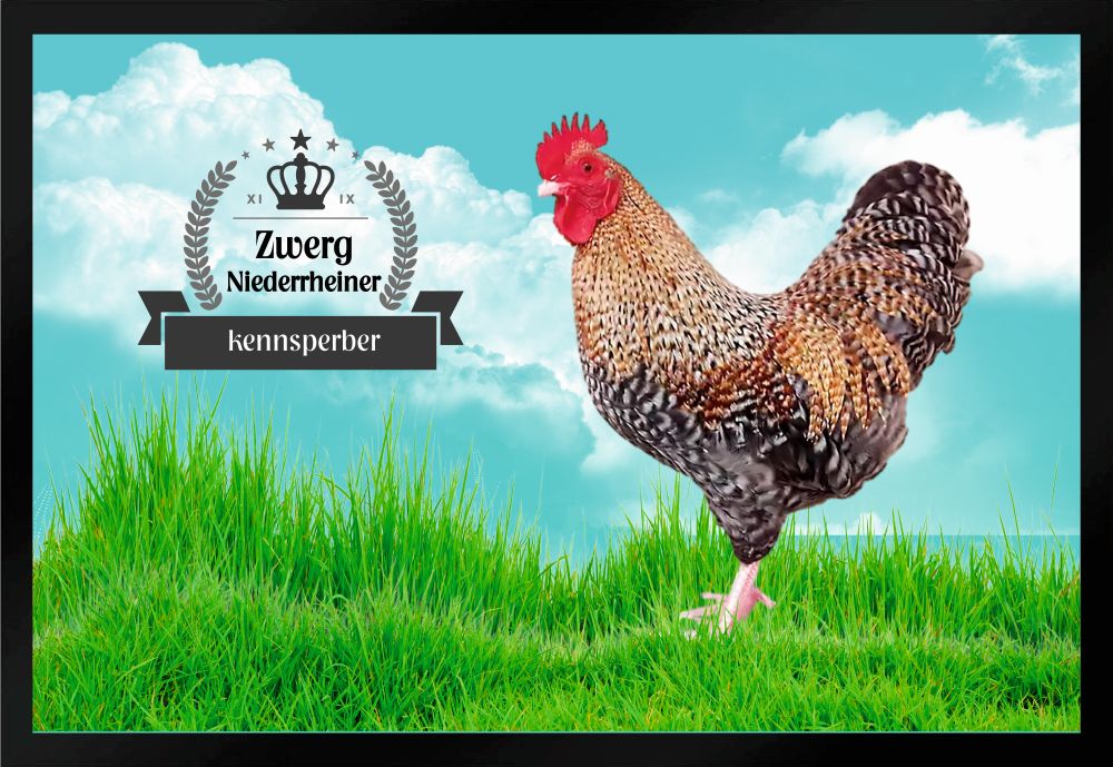 Fußmatte Fußmatte Hühner Zwerg Niederrheiner kennsperber F1309 60x40 cm
