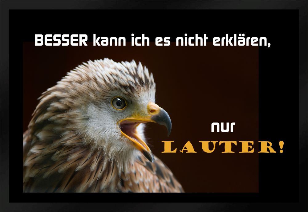 Fußmatte Schmutzfangmatte Besser kann ich es nicht erklären Adler F597 60x40 cm
