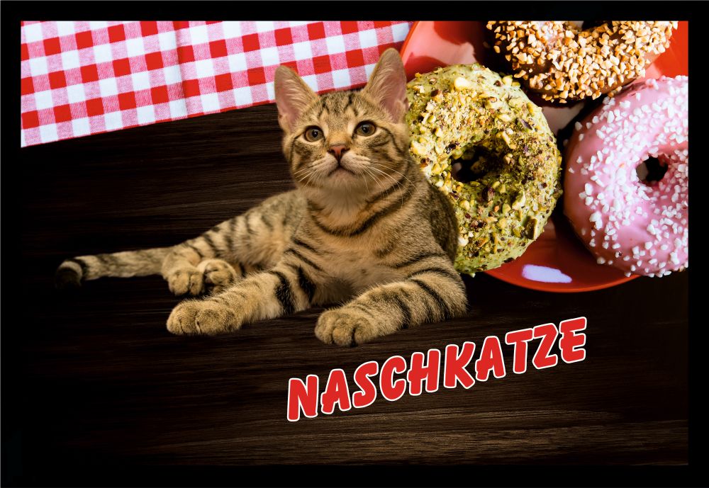 Fußmatte Schmutzfangmatte Naschkatze Kuchen rutschfest F836 60x40 cm