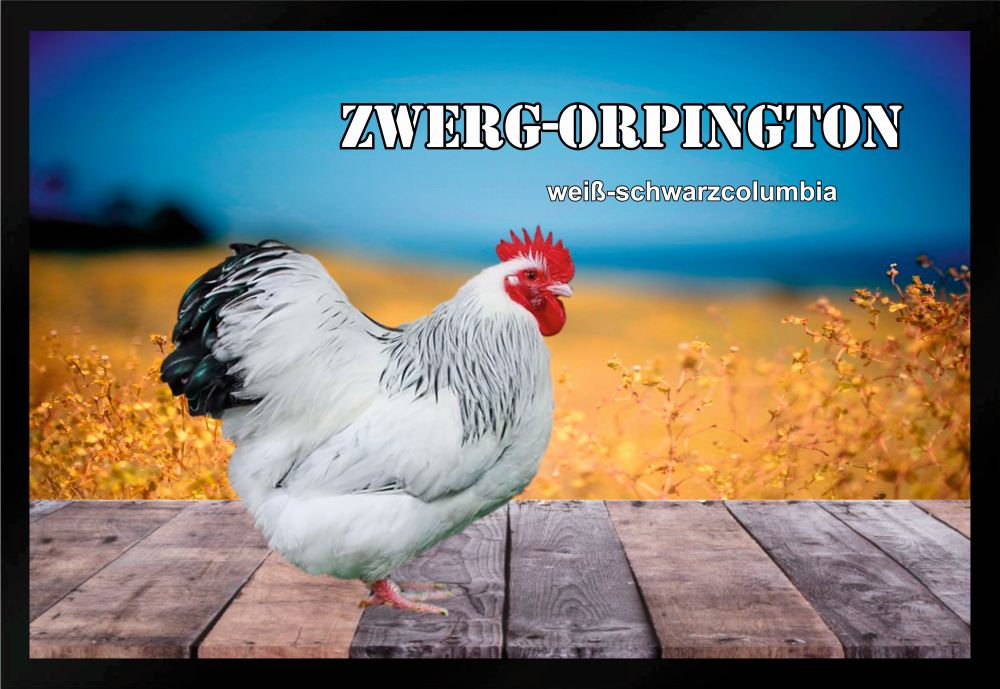 Fußmatte Hühner Zwerg Orpington weiß-schwarzcolumbia F1291 60x40 cm