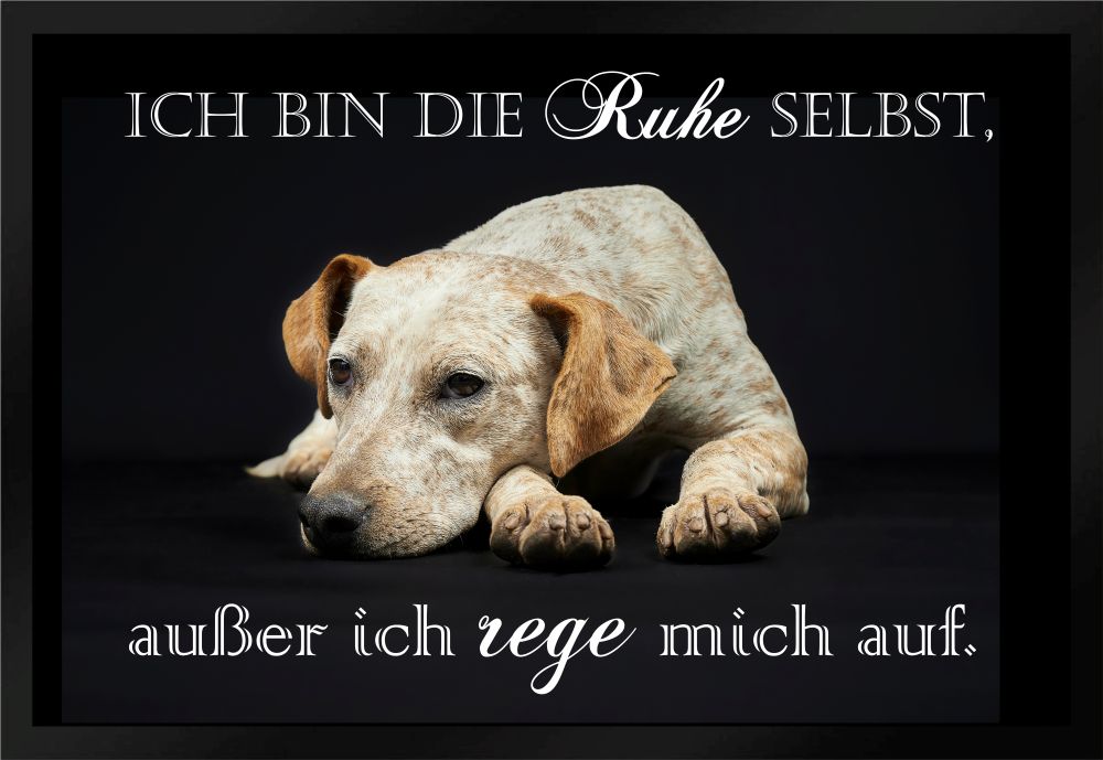 Fußmatte Schmutzfangmatte Ich bin die Ruhe selbst F573 60x40 cm