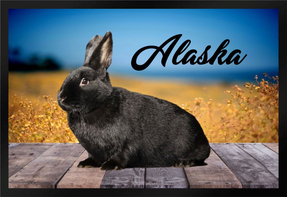 Fußmatte Schmutzfangmatte Kaninchen Alaska F823 60x40 cm