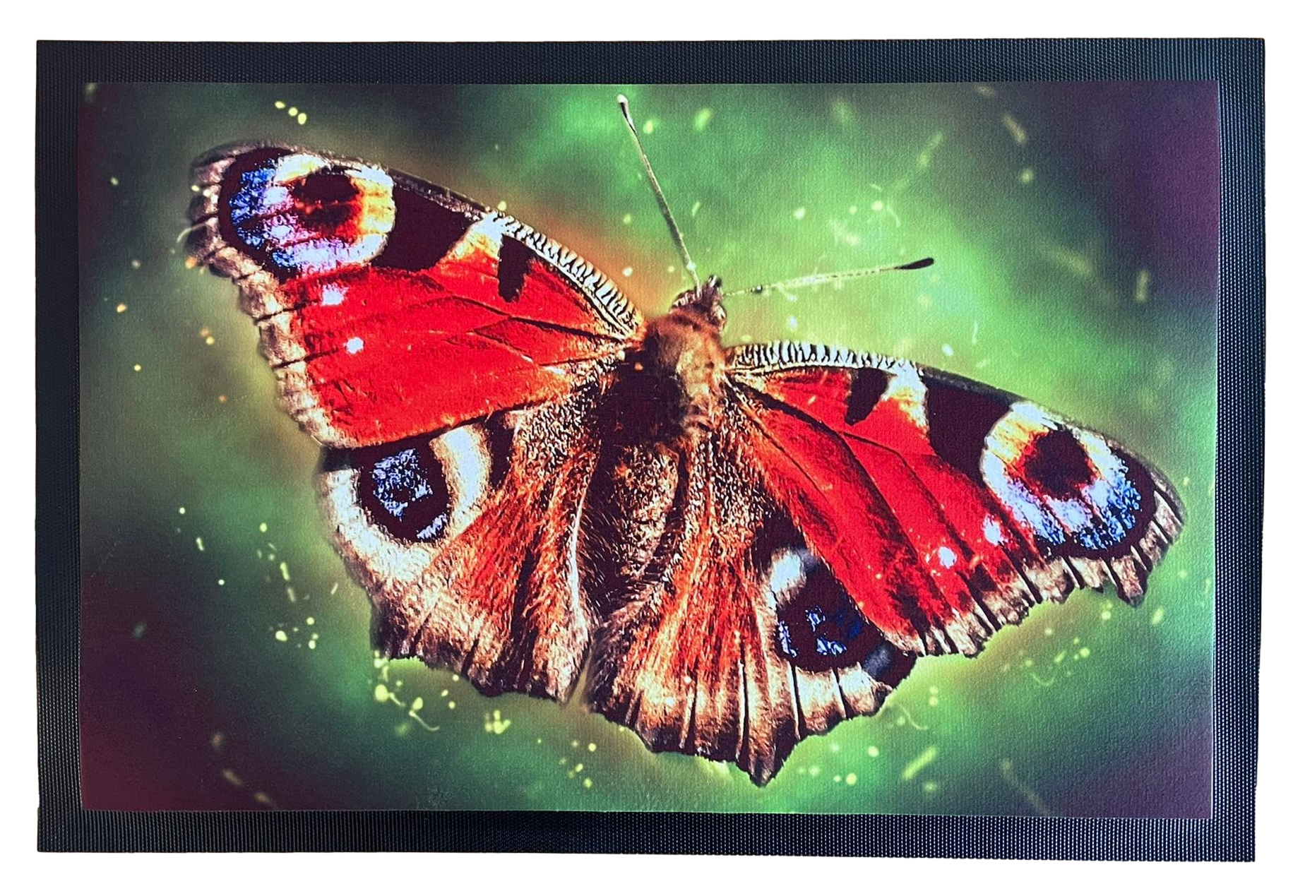 Fußmatte Schmutzfangmatte rutschfest mit Schmetterling F027 60x40 cm