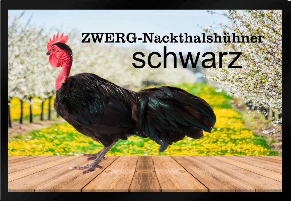 Fußmatte Fußmatte Hühner Zwerg Nackthalshühner schwarz F1313 60x40 cm