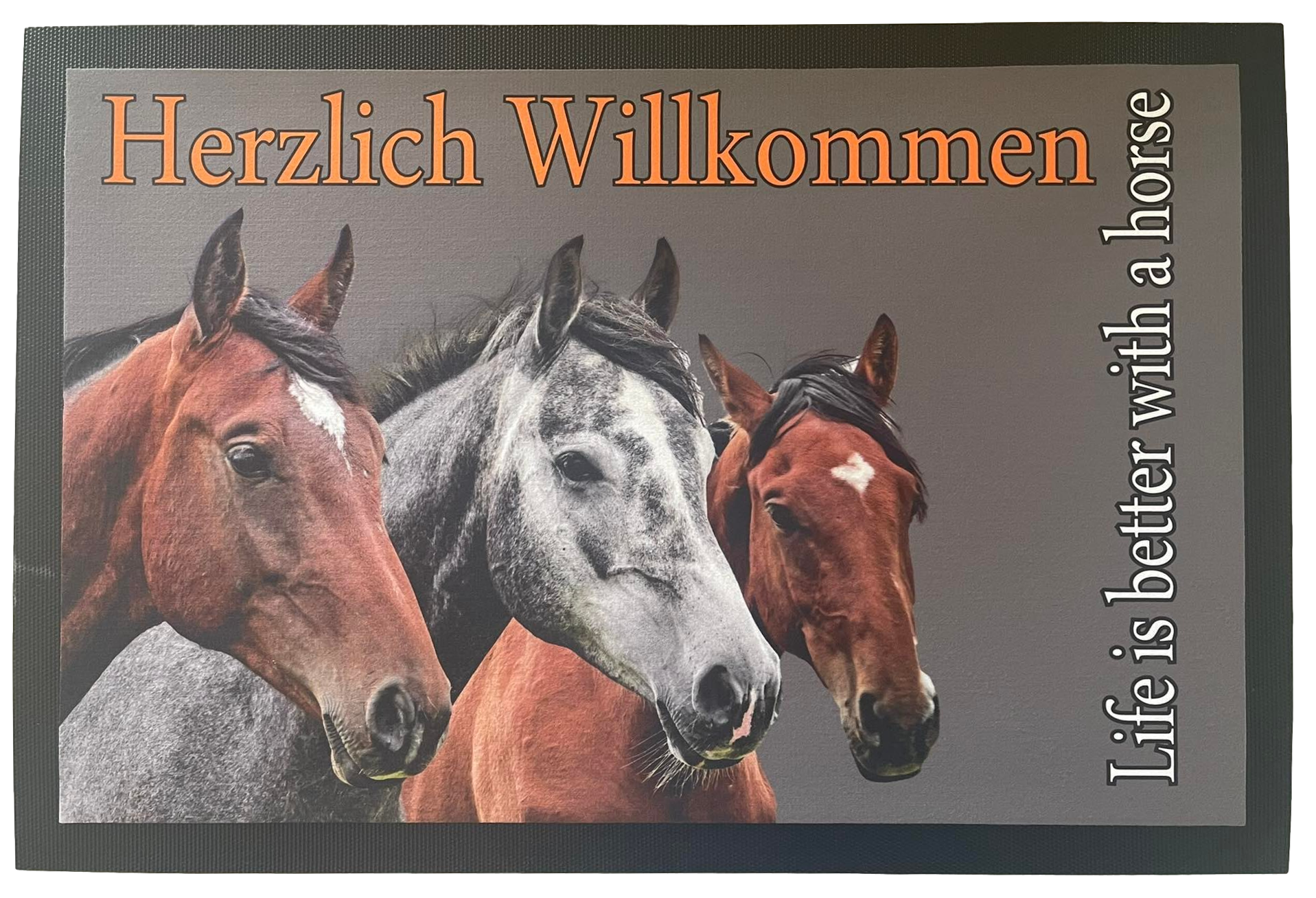 Pferde 45x60 cm Bodenmatte Fußmatte Schuhunterlage Horses 